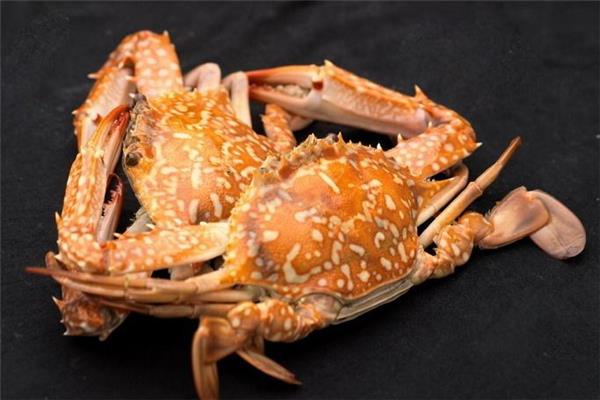 花蟹隔夜了还能吃吗 花蟹隔夜了怎么存放 花蟹隔夜了还能吃吗 花蟹隔夜了怎么存放