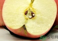 苹果变软了还能吃吗?苹果变软了可以吃吗? 苹果变软了还能吃吗?苹果变软了可以吃吗?