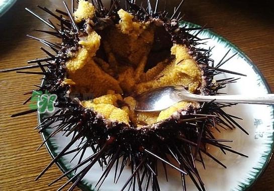 海胆有毒吗？海胆有寄生虫吗