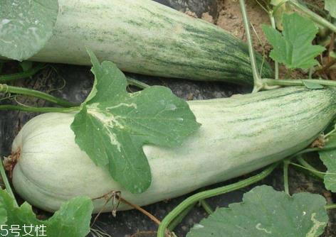 羊角脆和羊角蜜哪个好 羊角脆是热性还是凉性