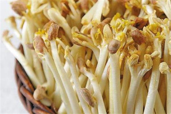 花生芽可以涮火锅吗 味道非常好