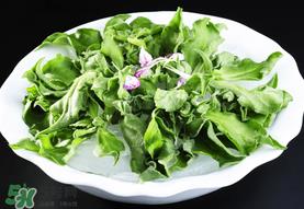 冰草可以生吃吗?冰草生吃什么味道? 冰草可以生吃吗?冰草生吃什么味道?