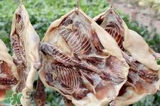 吃腊鸭会上火吗?上火能吃腊鸭吗? 吃腊鸭会上火吗?上火能吃腊鸭吗?