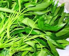 空心菜怎么保存?空心菜怎么保鲜? 空心菜怎么保存?空心菜怎么保鲜?