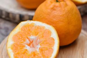 耙耙柑可以放多久?耙耙柑怎么保存 耙耙柑可以放多久?耙耙柑怎么保存