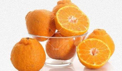 耙耙柑可以放多久?耙耙柑怎么保存 耙耙柑可以放多久?耙耙柑怎么保存