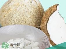 椰皇的营养价值_椰皇的功效与作用及食用禁忌 椰皇的营养价值_椰皇的功效与作用及食用禁忌