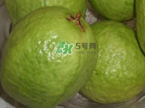 芭乐怎么挑选？如何挑选红心芭乐