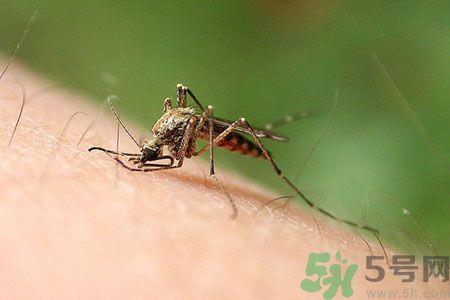 黄热病可以吃水果吗?怎么预防黄热病症状? 黄热病可以吃水果吗?怎么预防黄热病症状?