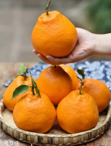 耙耙柑的功效与作用 耙耙柑营养 耙耙柑的功效与作用 耙耙柑营养