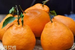 耙耙柑的功效与作用 耙耙柑营养 耙耙柑的功效与作用 耙耙柑营养