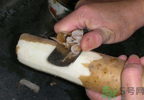 山药可以和胡萝卜一起吃吗?山药能和胡萝卜同吃吗? 山药可以和胡萝卜一起吃吗?山药能和胡萝卜同吃吗?