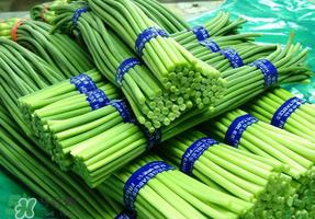 蒜苔能放在冰箱里吗?蒜苔能在冰箱放几天? 蒜苔能放在冰箱里吗?蒜苔能在冰箱放几天?