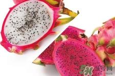 火龙果一天吃几个最好?火龙果一天吃多少合适? 火龙果一天吃几个最好?火龙果一天吃多少合适?