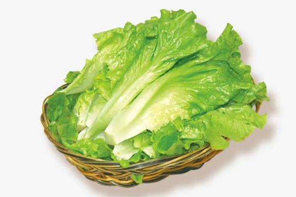 生菜的热量是多少大卡 生菜吃了会不会长胖 生菜的热量是多少大卡 生菜吃了会不会长胖