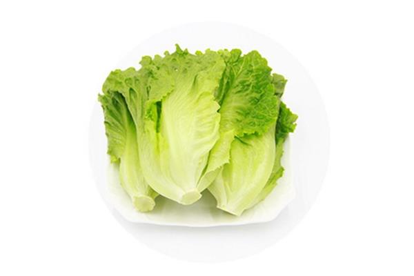 生菜的热量是多少大卡 生菜吃了会不会长胖 生菜的热量是多少大卡 生菜吃了会不会长胖
