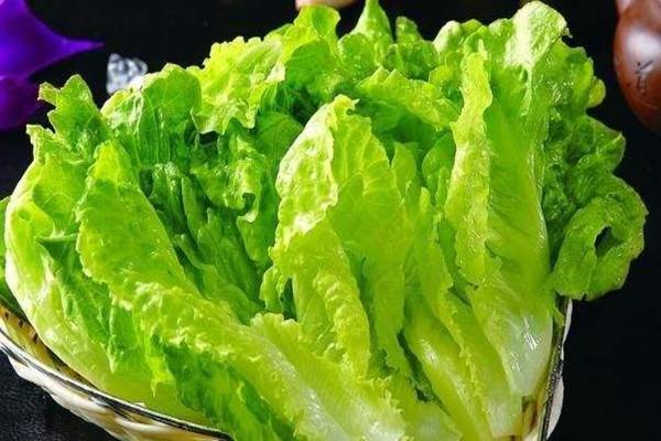 生菜的热量是多少大卡 生菜吃了会不会长胖 生菜的热量是多少大卡 生菜吃了会不会长胖