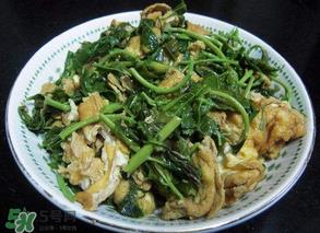 香椿炒鸡蛋有毒吗?香椿炒鸡蛋的禁忌 香椿炒鸡蛋有毒吗?香椿炒鸡蛋的禁忌