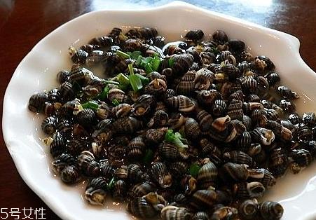 香螺怎么洗干净 香螺怎么浸泡 香螺怎么洗干净 香螺怎么浸泡