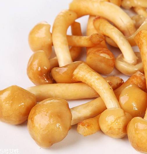 滑子菇是什么?滑子菇能吃吗? 滑子菇是什么?滑子菇能吃吗?