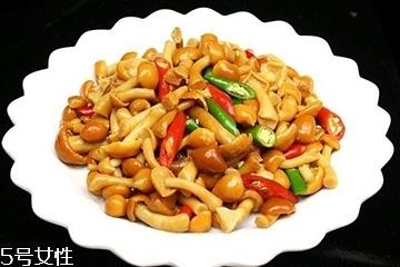 滑子菇是什么?滑子菇能吃吗? 滑子菇是什么?滑子菇能吃吗?