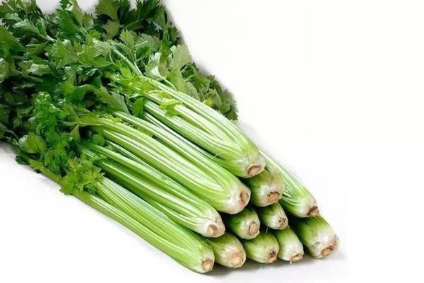 芹菜需不需要焯水 芹菜焯水一般几分钟