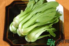 油菜是发物吗?油菜是不是发物?.png 油菜是发物吗?油菜是不是发物?.png