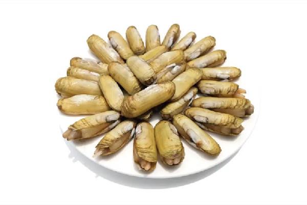 蛏子属于贝类吗 蛏子是海里的还是河里的 蛏子属于贝类吗 蛏子是海里的还是河里的