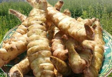 地笋怎么种植 地笋什么时候种植 地笋怎么种植 地笋什么时候种植