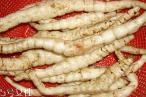 地笋怎么种植 地笋什么时候种植 地笋怎么种植 地笋什么时候种植