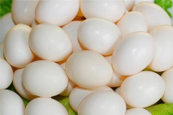 鸽子蛋吃了会上火吗 避开热性食物 鸽子蛋吃了会上火吗 避开热性食物