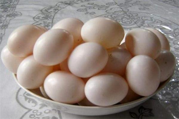 鸽子蛋吃了会上火吗 避开热性食物 鸽子蛋吃了会上火吗 避开热性食物