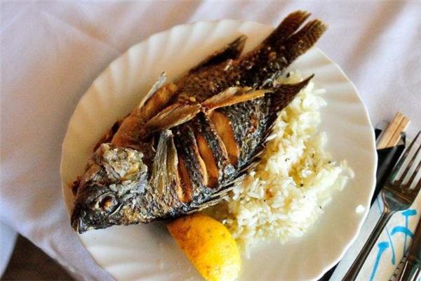 罗非鱼为什么那么便宜 产量较多 罗非鱼为什么那么便宜 产量较多