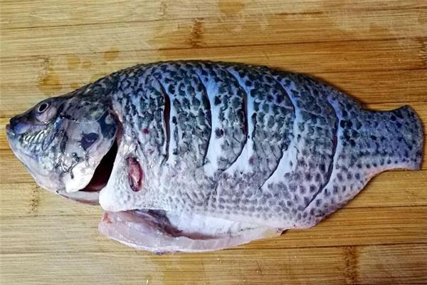 罗非鱼为什么那么便宜 产量较多 罗非鱼为什么那么便宜 产量较多