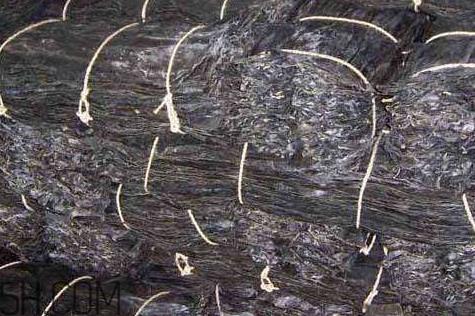 干海带上面白的是什么 其实是一种珍贵的成分 干海带上面白的是什么 其实是一种珍贵的成分