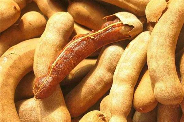 小孩能吃酸角吗 哪些人不能吃酸角 小孩能吃酸角吗 哪些人不能吃酸角