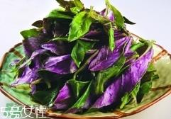 红背菜不能什么一起吃?红背菜和什么食物相克? 红背菜不能什么一起吃?红背菜和什么食物相克?