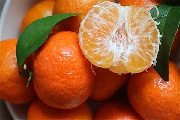 沙糖桔什么时候最好吃 沙糖桔是几月的水果 沙糖桔什么时候最好吃 沙糖桔是几月的水果