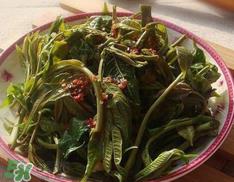 香椿要过水吗?香椿怎么过水? 香椿要过水吗?香椿怎么过水?