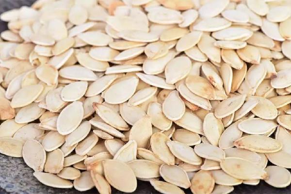 南瓜子的功效和作用 南瓜子能治前列腺炎吗 南瓜子的功效和作用 南瓜子能治前列腺炎吗