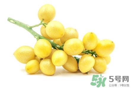 山黄皮焖鸭怎么做好吃?山黄皮焖鸭的做法 山黄皮焖鸭怎么做好吃?山黄皮焖鸭的做法