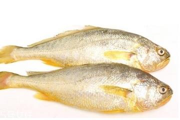 黄花鱼清蒸多长时间?黄花鱼清蒸的做法 黄花鱼清蒸多长时间?黄花鱼清蒸的做法