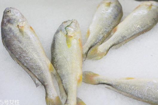 黄花鱼清蒸多长时间?黄花鱼清蒸的做法 黄花鱼清蒸多长时间?黄花鱼清蒸的做法