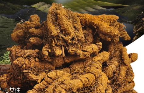 黄连可以治疗湿疹吗 黄连治疗湿疹配方 黄连可以治疗湿疹吗 黄连治疗湿疹配方