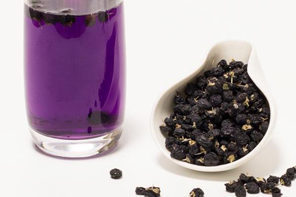 黑枸杞对痛风有治疗作用吗 黑枸杞糖尿病人可以喝吗 黑枸杞对痛风有治疗作用吗 黑枸杞糖尿病人可以喝吗