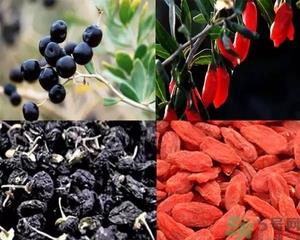 黑枸杞和红枸杞有什么区别?黑枸杞和红枸杞哪个好? 黑枸杞和红枸杞有什么区别?黑枸杞和红枸杞哪个好?