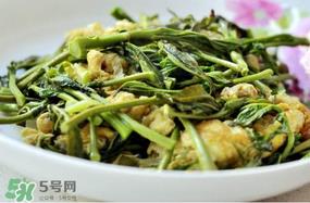 香椿和笋子能一起吃吗?香椿可以和笋一起吃吗? 香椿和笋子能一起吃吗?香椿可以和笋一起吃吗?