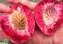 血桃孕妇可以吃吗?孕妇能吃血桃吗 血桃孕妇可以吃吗?孕妇能吃血桃吗