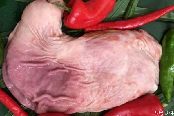 猪肚有什么营养价值呢 吃猪肚有什么好处呢 猪肚有什么营养价值呢 吃猪肚有什么好处呢