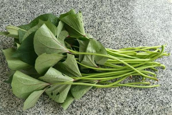 红薯藤能降尿酸吗 红薯藤有什么功效 红薯藤能降尿酸吗 红薯藤有什么功效